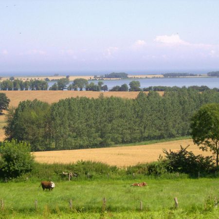 Ferienwohnungen Und Ferienhaus Im Nixenweg Hohwacht  Kültér fotó