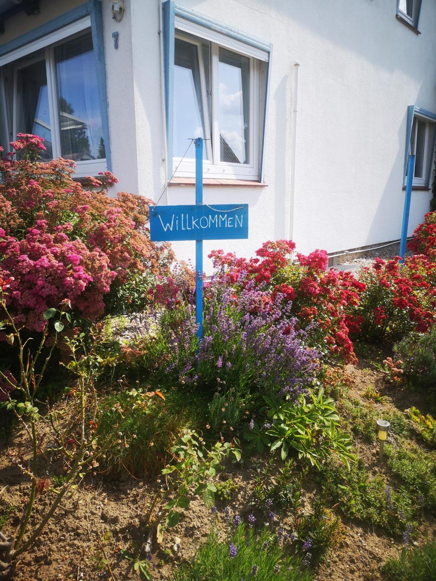 Ferienwohnungen Und Ferienhaus Im Nixenweg Hohwacht  Kültér fotó