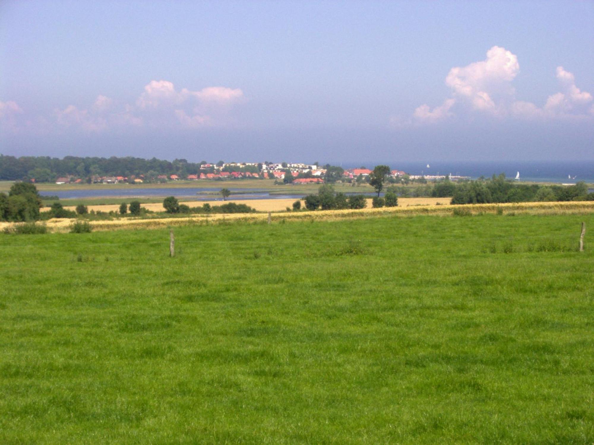 Ferienwohnungen Und Ferienhaus Im Nixenweg Hohwacht  Kültér fotó